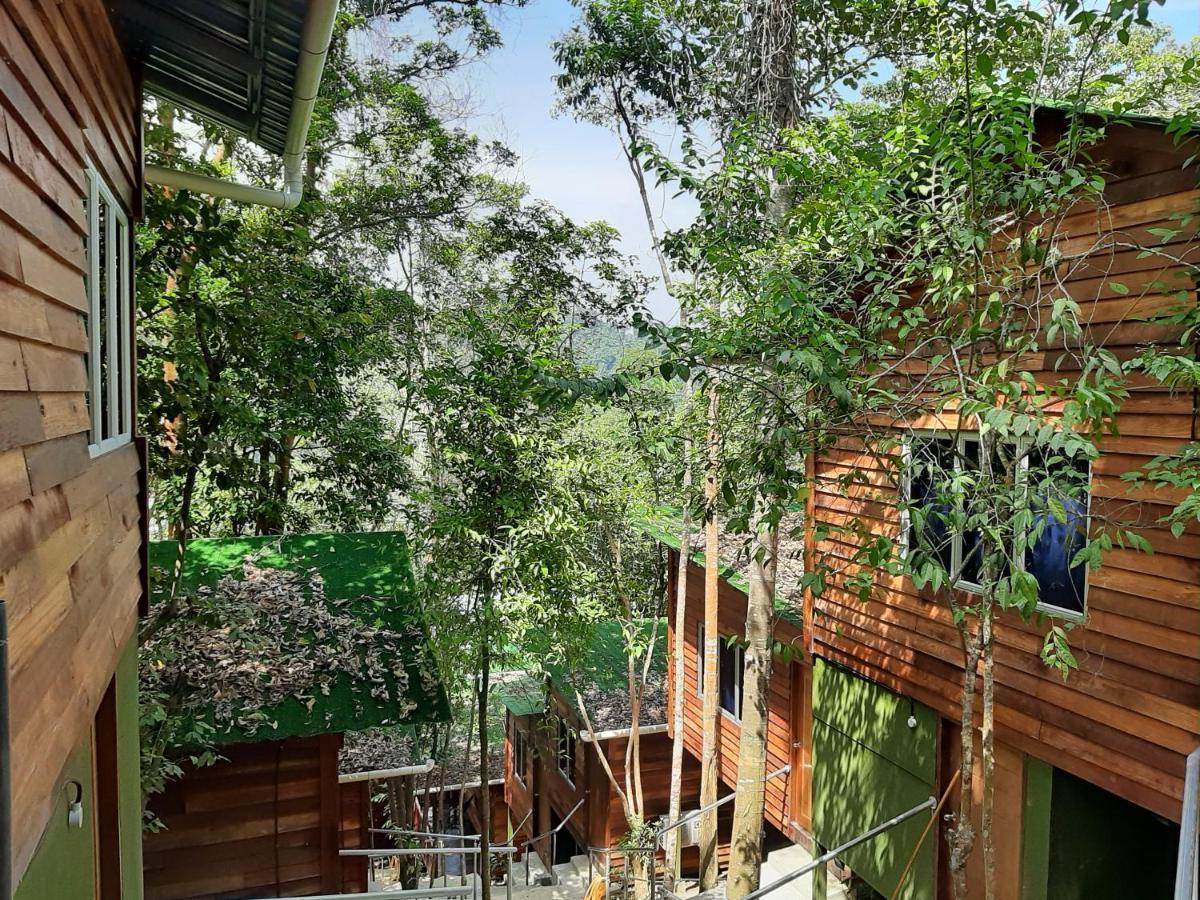 Utan Teluk Nipah Villa Pekan Pangkor Buitenkant foto