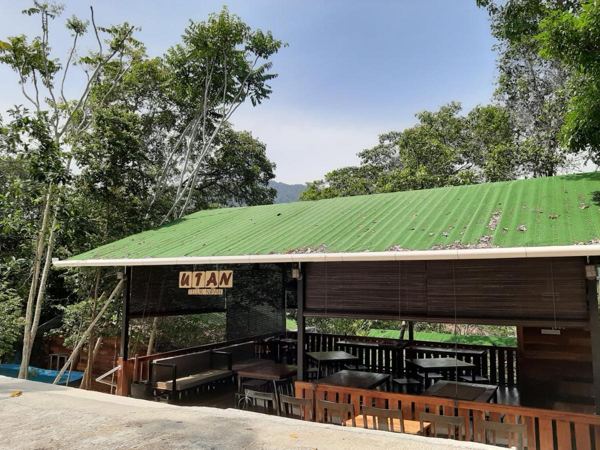 Utan Teluk Nipah Villa Pekan Pangkor Buitenkant foto